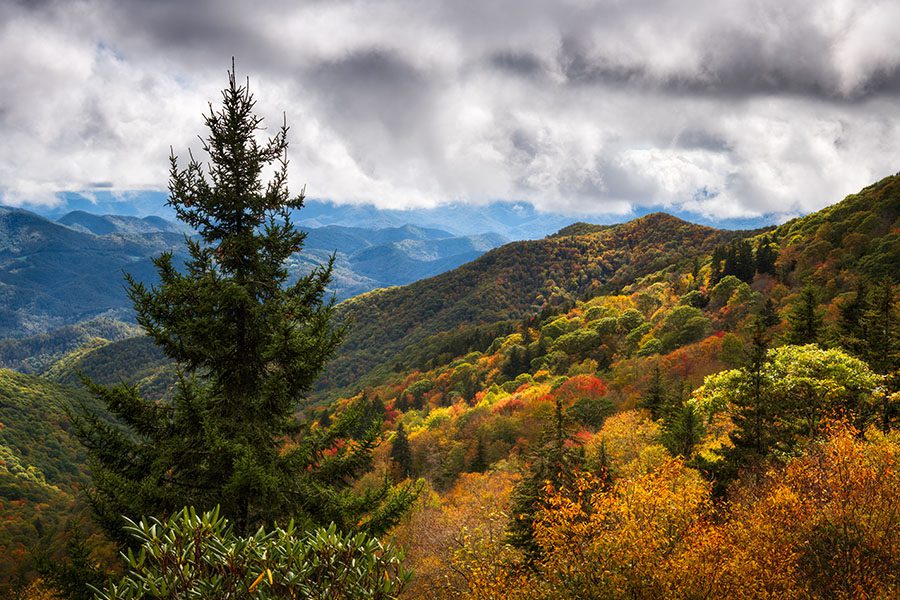 Insurance Quote - Autumn Landscape of Appalachian Mountains in North Carolina Showcasing the Annual Fall Foliage Along the Blue Ridge Parkway